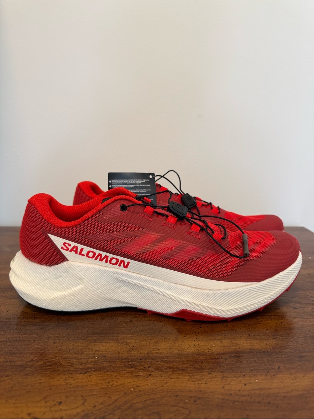 Salomon Men's Pulsar